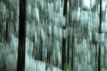 out_woods.jpg